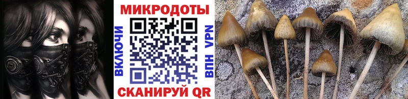 Псилоцибиновые грибы MAGIC MUSHROOMS  Одинцово 